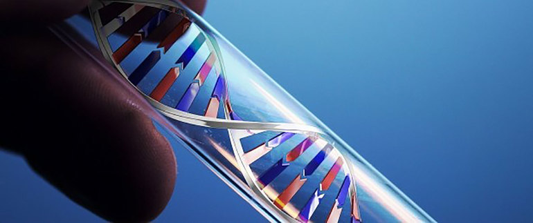 Синтетический ДНК