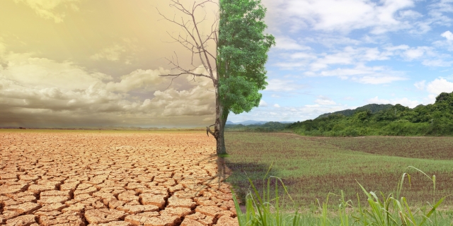 Джефф Безос пожертвует огромную сумму на борьбу с изменением климата