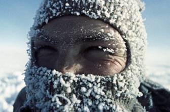 oronavirus in polar