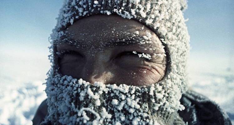 oronavirus in polar